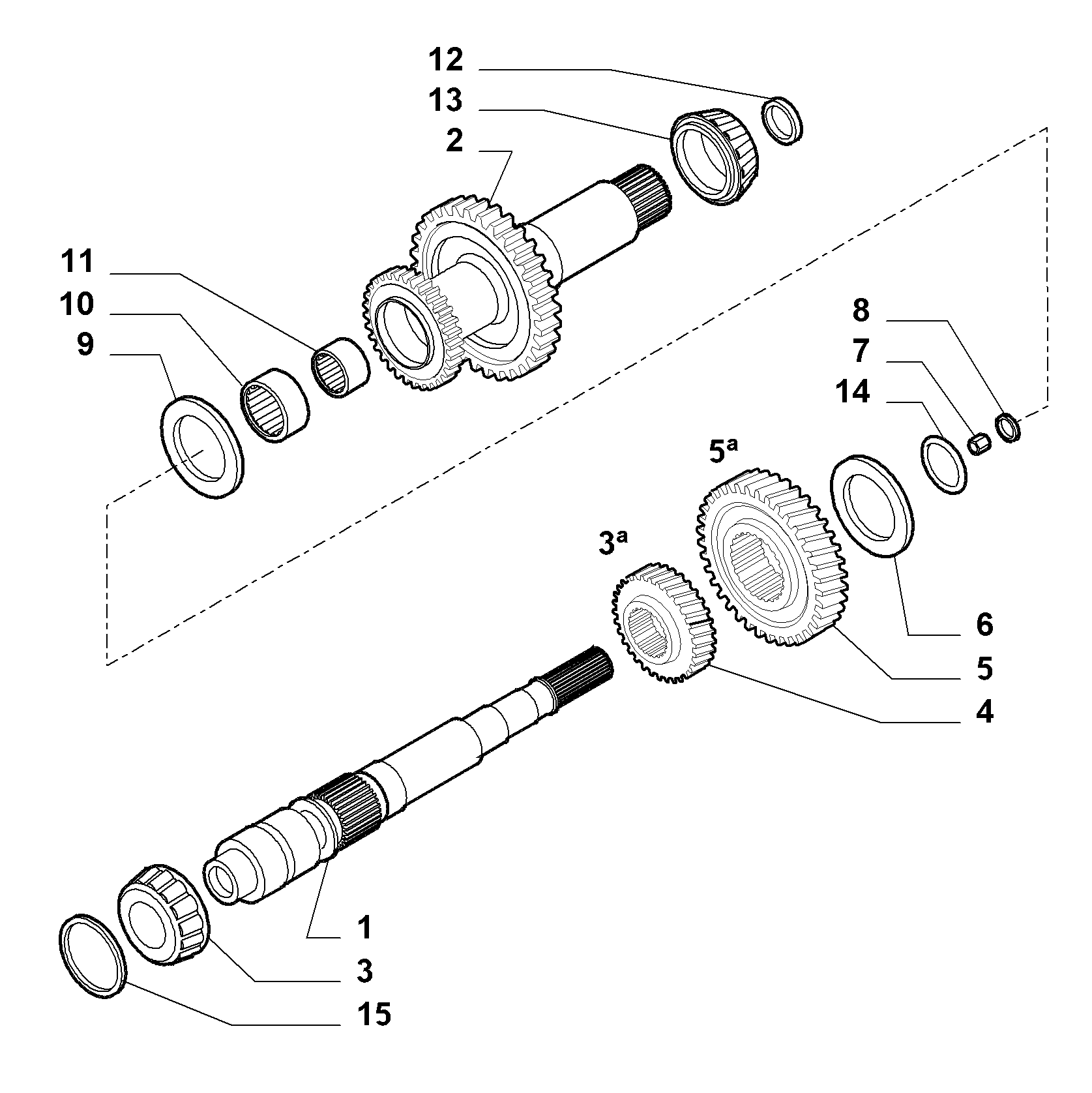 21215-010 PRIMARY SHAFT AND GEAR LEAD