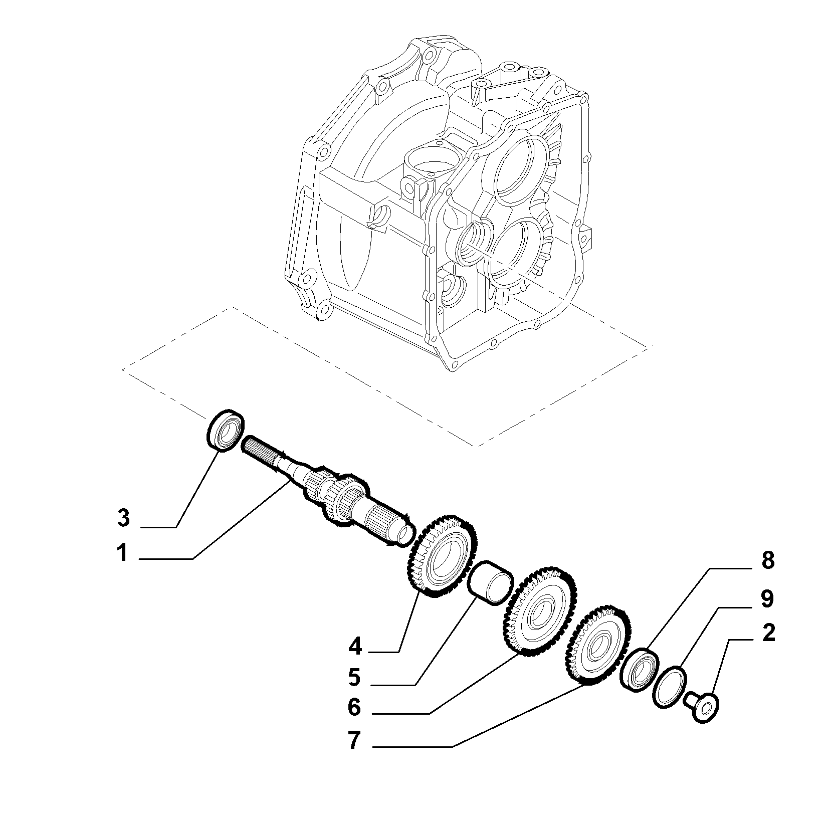 21215-010 PRIMARY SHAFT AND GEAR LEAD