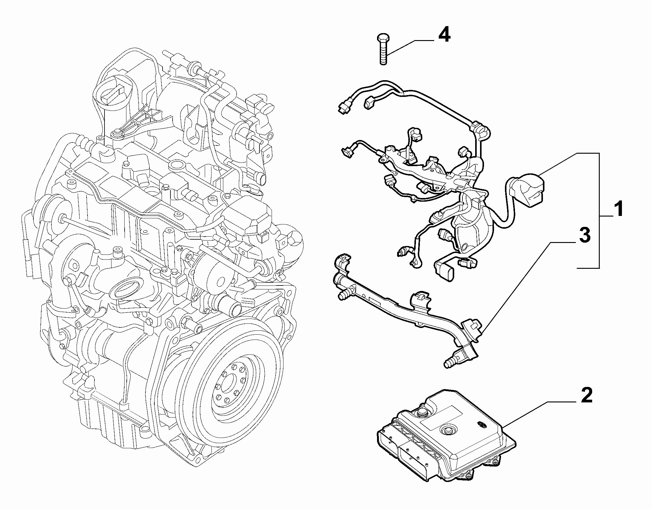 10226-045 ENGINE CABLES AND ECU ASSY (CC0.9)