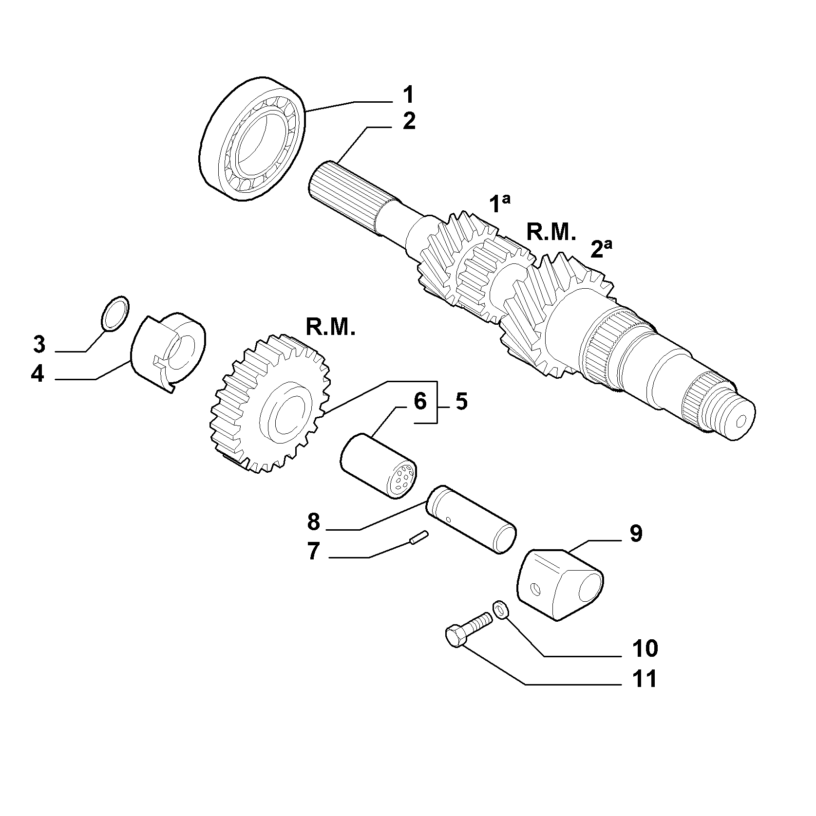 21215-010 PRIMARY SHAFT AND GEAR LEAD