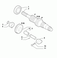21215-010 PRIMARY SHAFT AND GEAR LEAD