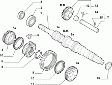 21215-010 PRIMARY SHAFT AND GEAR LEAD