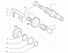 21215-010 PRIMARY SHAFT AND GEAR LEAD